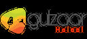 Gulzaar Halaal