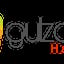 Gulzaar Halaal